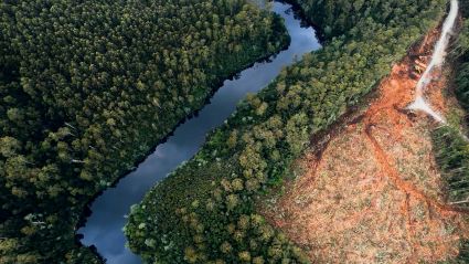 An ariel view of a river next to land and trees.