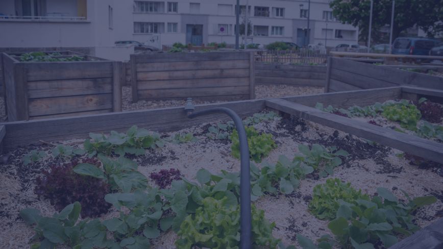 An allotment