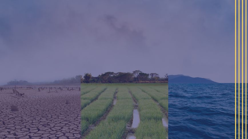 Farmland in different seasons