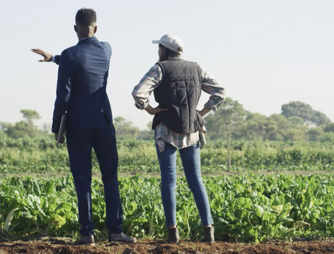 A business professional and a farmer overlooking a field of crops