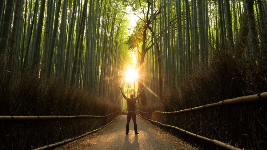 Dark tree-lined path with sun person with hands raise in air on tree-lined dark path, with sun shining at end of path