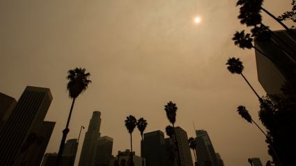 Downtown Los Angeles skyline under a smoke-filled sky, with palm trees silhouetted against a hazy sun during wildfire conditions.