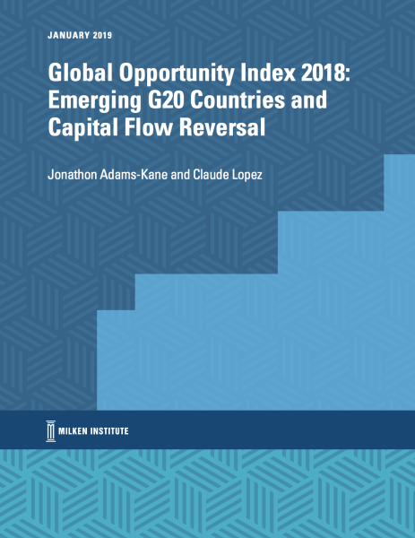 Global Opportunity Index 2018: Emerging G20 Countries and Capital Flow Reversal