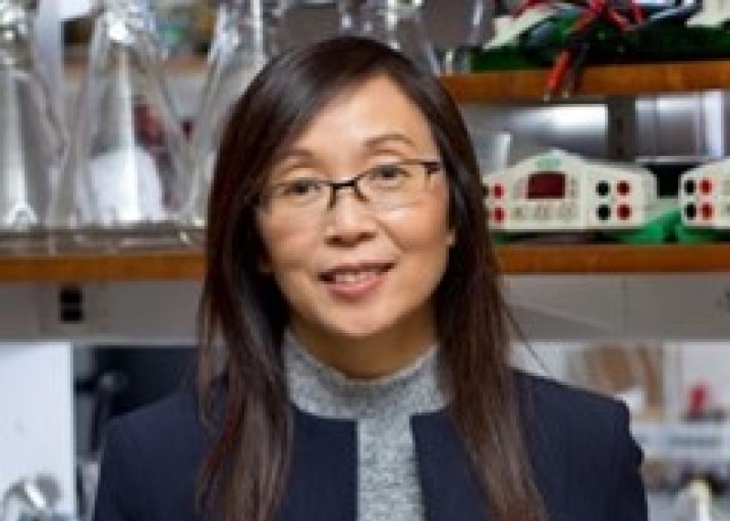 Li Gan, PhD