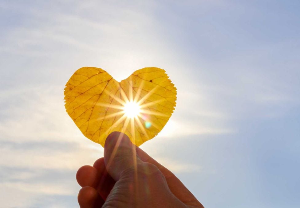 Leaf in the shape of a heart being held in front of the sun